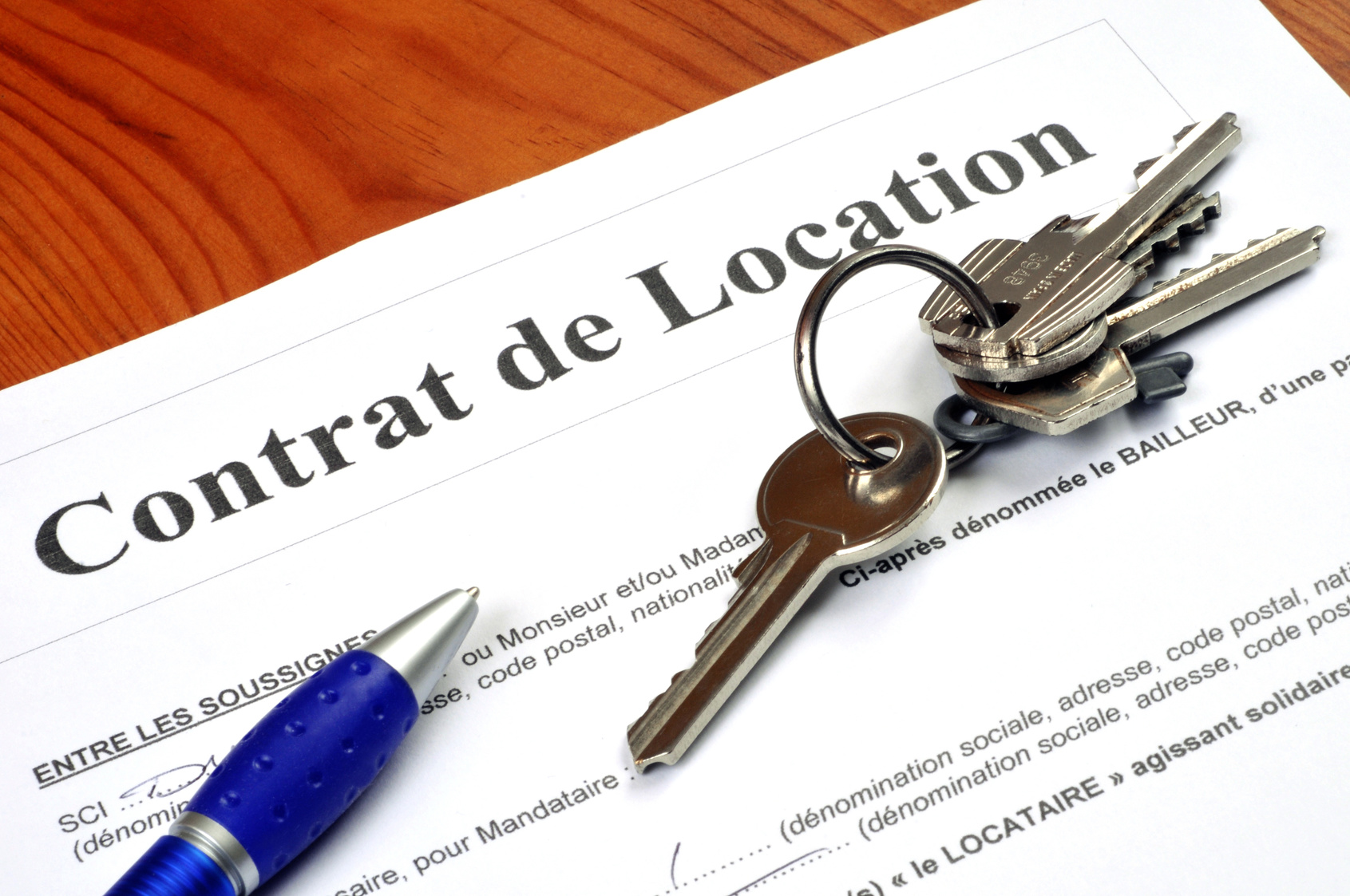 Propriétaires de maison : comment bien choisir un locataire en longue durée