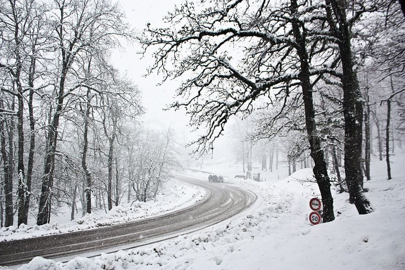 Bons plans pour des vacances d’hiver inoubliables en Tunisie : Aïn Draham et le Nord-Ouest