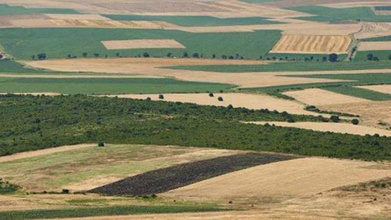 Acheter une ferme ou un terrain agricole en Tunisie : guide complet pour réussir votre projet
