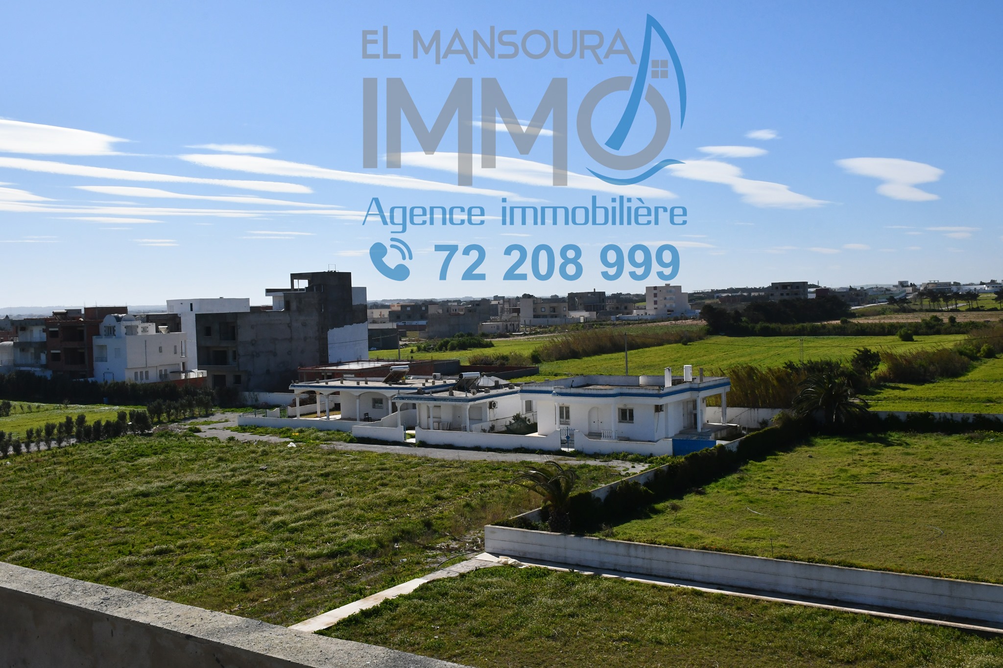 IMMO