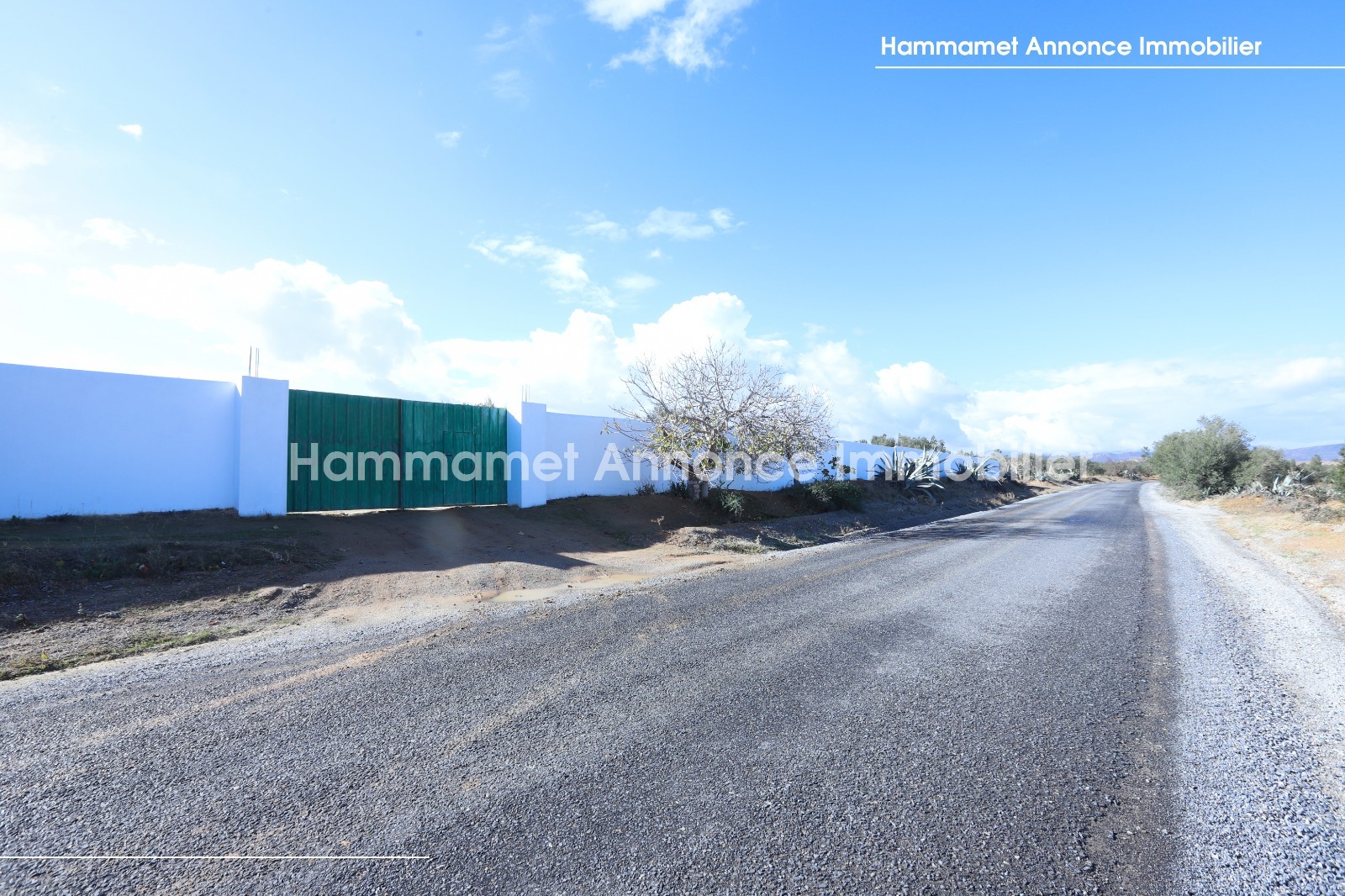 Image annonce