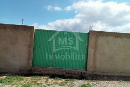 Image annonce