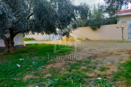 Image annonce