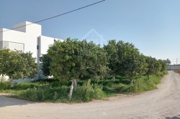 Image annonce