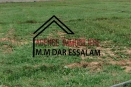 Image annonce