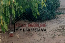 Image annonce