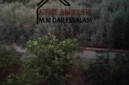 Image annonce
