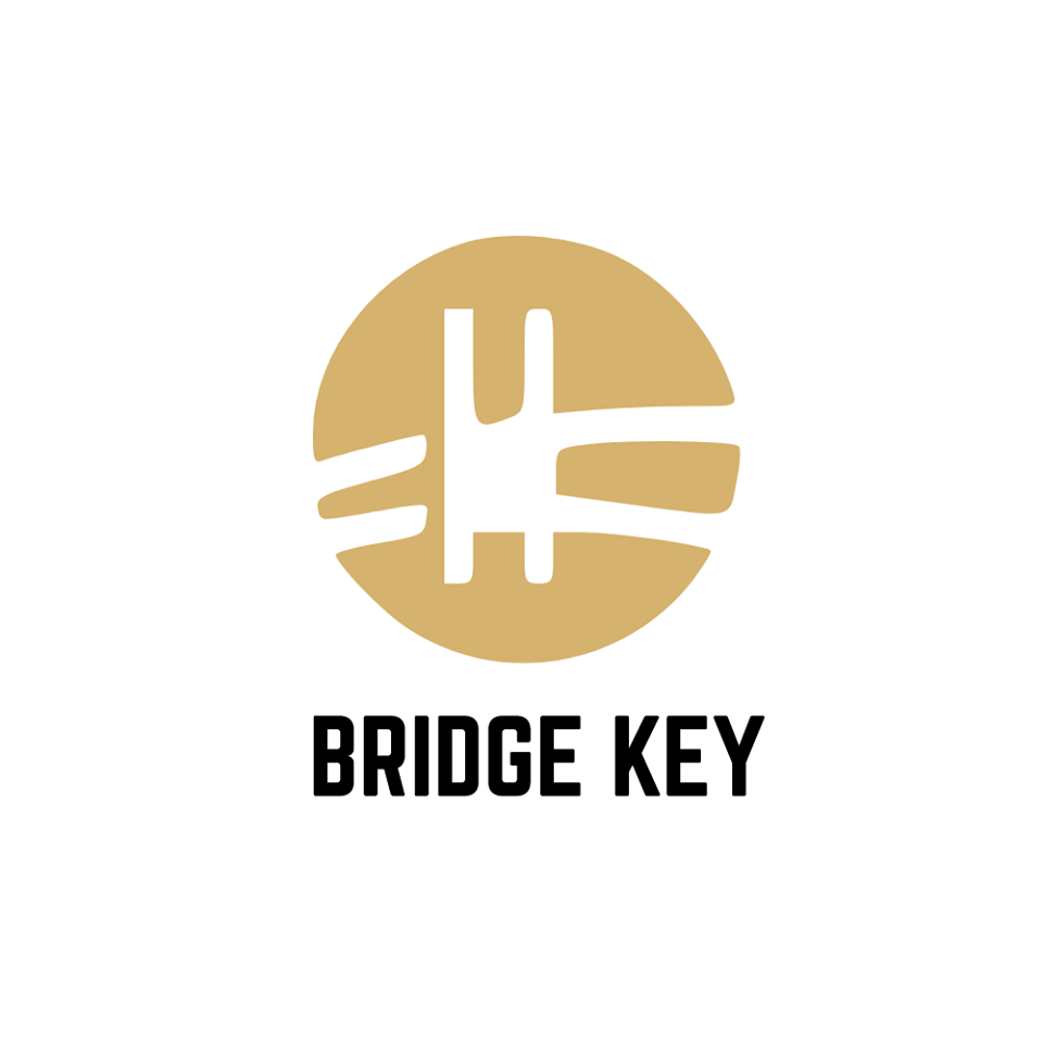 Bridge-key immobilière!
