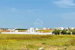 Un terrain de 300 m² à el menchar à vendre 51355351
