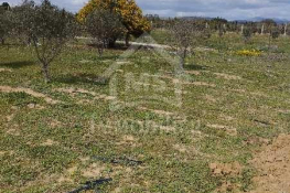 Un lot de terrain de 500 m² à vendre à 60 md à hammamet sud 51355351