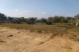 Terrain de 1932 m² à birbouragba à vendre 51355351