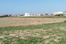 Un terrain de 669 m² à maamoura à vendre 51355351