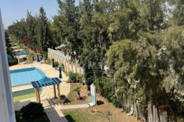 Location estivale appartement s+1 à louer à yasmine hammamet 51355351
