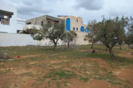Terrain de 250 m² à hammamet nord à vendre 51355351