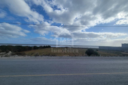 Terrain pieds dans l'eau de 3333 m² à korba à vendre 51355351