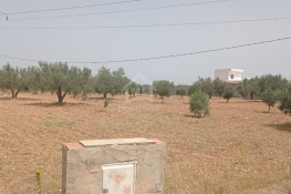 Terrain de 4800 m² à sidi mtir à vendre à 270 md 51355351