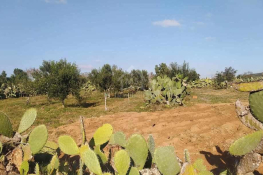 Terrain de 1932 m² à birbouragba à vendre 51355351