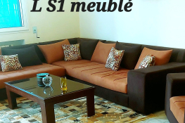 S+1 meublé ennasr2 haut standing pour étranger