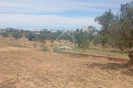 Terrain de 2000 m² à hammamet sud à vendre 51355351