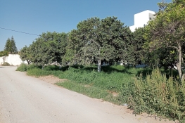 Un terrain de 423 m² dans la zone de sidi mahressi à vendre 51355351