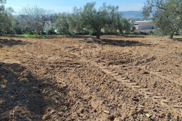 Un terrain de 1688 m² à vendre à hammamet sud 51355351