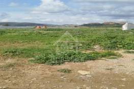Terrain de 4000 m² à vendre à 100 md à hammamet sud 51355351