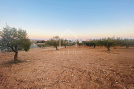 Terrain de 1000 m² à vendre à 200 md à hammamet sud 51355351