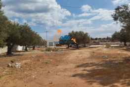A vendre terrain jinene hammamet