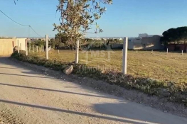Un terrain vue de mer à vendre à béni khiar 51355351