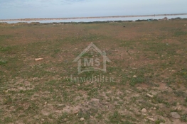 Terrain pieds dans l'eau de 9716 m² à korba à vendre 51355351