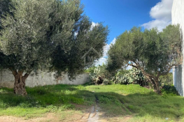 Lot de terrain de 250 m² à hammamet à vendre 51355351