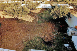 Un terrain de 2100 m² avec 1 studio à hammamet sud à vendre 51355351