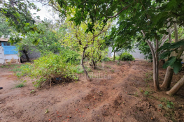 Terrain de 240 m² à hammamet à vendre à 105 md 51355351