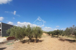 Un terrain de 200 m² sur la route principale à hammamet sud 51355351