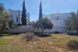 Terrain clôtué de 250 m² à mrezga à vendre 51355351