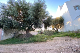 Lot de terrain de 250 m² à hammamet à vendre 51355351