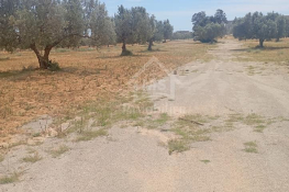 Terrain de 2000 m² à hammamet sud à vendre 51355351