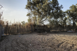 Terrain clôturé de 580 m² à maamoura à vendre 51355351