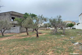 Terrain de 250 m² à hammamet nord à vendre 51355351