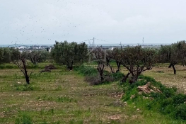Terrain de 2700 m² à hammamet sud à vendre à 200 md 51355351
