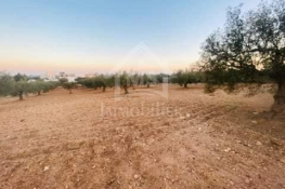 Terrain de 4018 m² à vendre à 200 dt/m² à hammamet sud 51355351