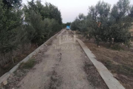 Terrain clôtuiré de 13337 m² à béni khiar à vendre 51355351