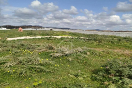 Terrain de 4000 m² à vendre à 100 md à hammamet sud 51355351