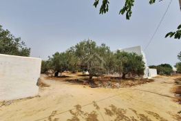 Terrain de 376 m² à vendre à manaret hammamet 51355351