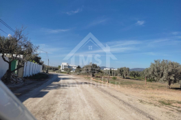 Terrain clôturé de 876 m² à hammamet sud à vendre 51355351