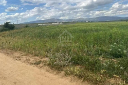 Terrain de 7500 m² à vendre à hammamet sud 51355351