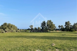 2 lots de terrain vue de mer à vendre à jinen béni khiar 51355351