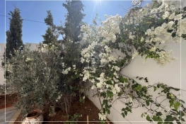 Villa à vendre