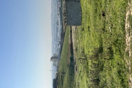 Lots de terrain Oued Ellil-cité el Anber