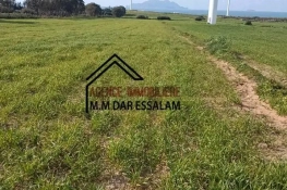 terrain agricole près de la mer à vendre